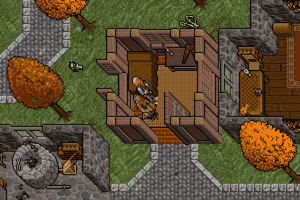 Ultima VII: The Black Gate 22