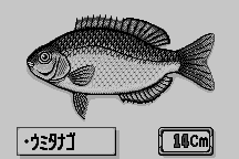 Umitsuri ni Ikō! 23
