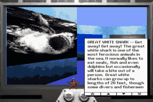 Undersea Adventure 5