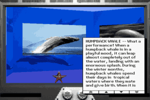 Undersea Adventure 7