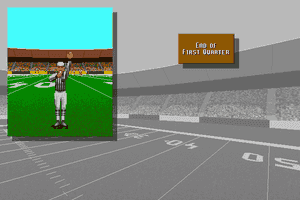 Unnecessary Roughness '95 abandonware