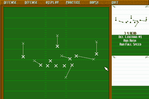 Unnecessary Roughness '95 17