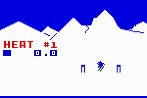 US Ski Team Skiing 2