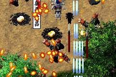 Vasara 25