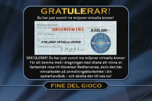 Vem vill bli miljonär 8