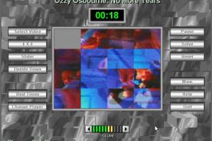 Vid Grid 10