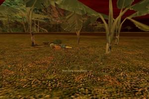 Vietcong: Red Dawn 38