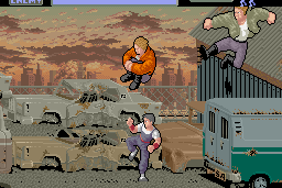 Vigilante 17