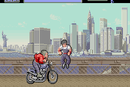 Vigilante 19