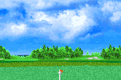 Vijay Singh Pro Golf 2005 10