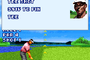 Vijay Singh Pro Golf 2005 3