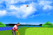 Vijay Singh Pro Golf 2005 5