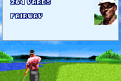 Vijay Singh Pro Golf 2005 7