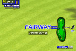 Virtua Golf 10