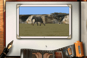 Virtual Safari 11