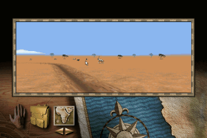 Virtual Safari 8