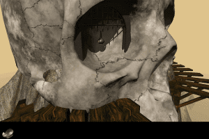 Vitae 4