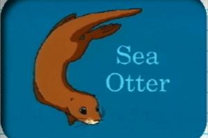 Vitsie Visits The Ocean 6