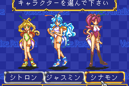 Voice Paradise 6