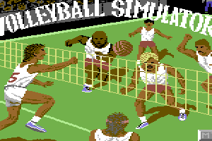 Volleyball Simulator 3