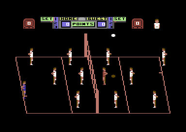 Volleyball Simulator abandonware