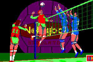 Volleyball Simulator 0