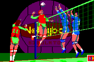 Volleyball Simulator abandonware