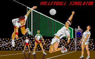 Volleyball Simulator abandonware