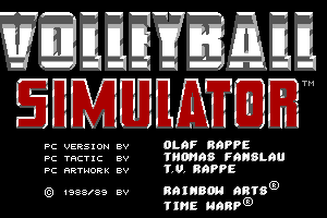 Volleyball Simulator 0