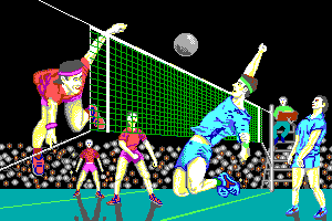 Volleyball Simulator abandonware