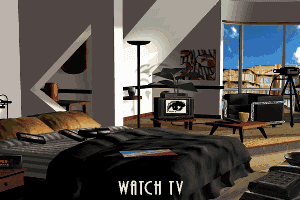 Voyeur 3
