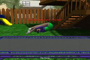 Walaber's Trampoline 4