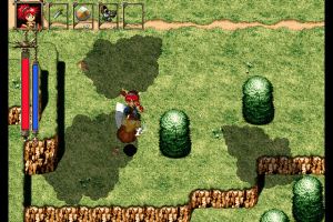Wander Wonder 9