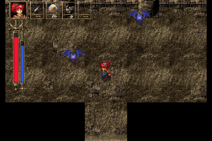 Wander Wonder 11