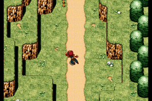 Wander Wonder 5