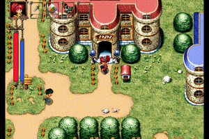 Wander Wonder 7