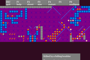 Wanderer 13