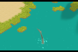 Wandering Willows 26