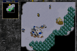 Warcraft II: Tides of Darkness 8