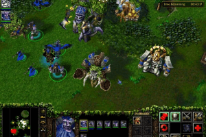 WarCraft III: Reign of Chaos 12