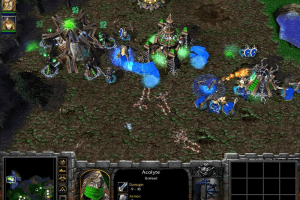 WarCraft III: Reign of Chaos 16