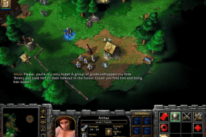 WarCraft III: Reign of Chaos 41