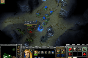 WarCraft III: Reign of Chaos 44