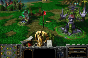 WarCraft III: The Frozen Throne 7