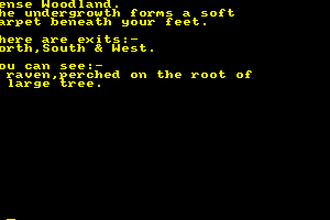 Warlord 4
