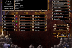 Warlords: Battlecry III 17