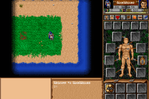 WarWizard 2 abandonware