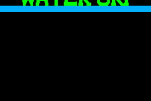 Water Ski 4