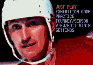 Wayne Gretzky and the NHLPA All-Stars abandonware