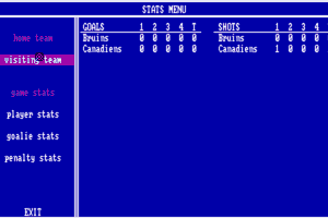 Wayne Gretzky Hockey 14